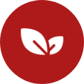 Accordion Icon